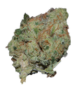 Chem Dawg