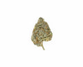 LSOG Super Boof